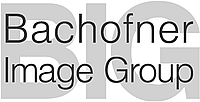 Image: Bachofner Image Group logo